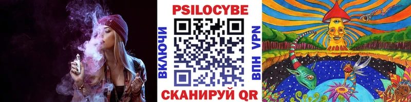 Галлюциногенные грибы Psilocybe  Люберцы 