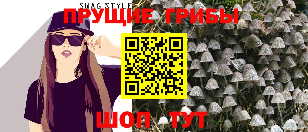Галлюциногенные грибы Psilocybe Люберцы