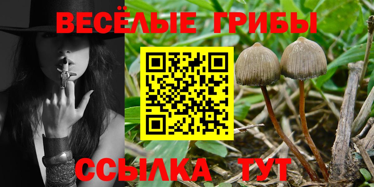 Галлюциногенные грибы GOLDEN TEACHER  Вход с VPN  Люберцы 